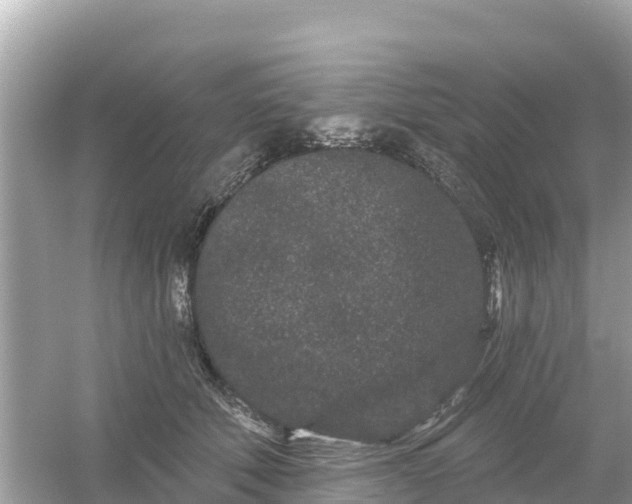 X0000054460610200508051952