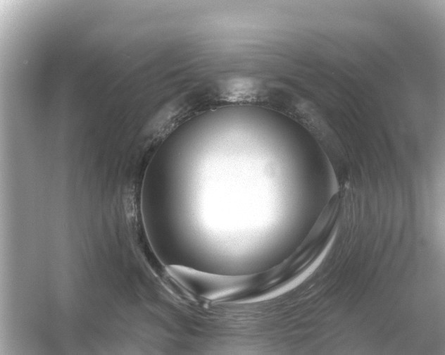 X0000054460620200508051952