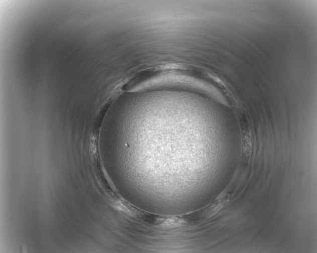 X0000054460621200508051952