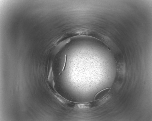 X0000054460622200508051952