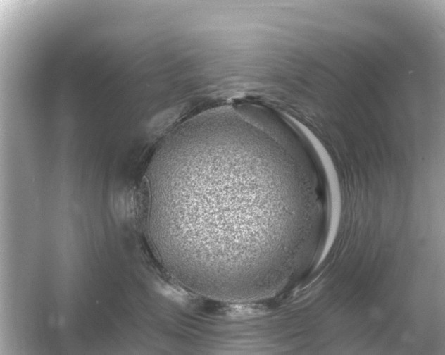 X0000054460623200508051952