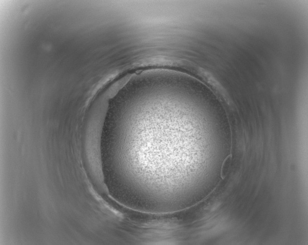 X0000054460625200508051951