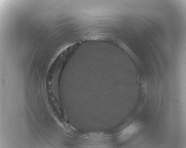 X0000054460626200508051951