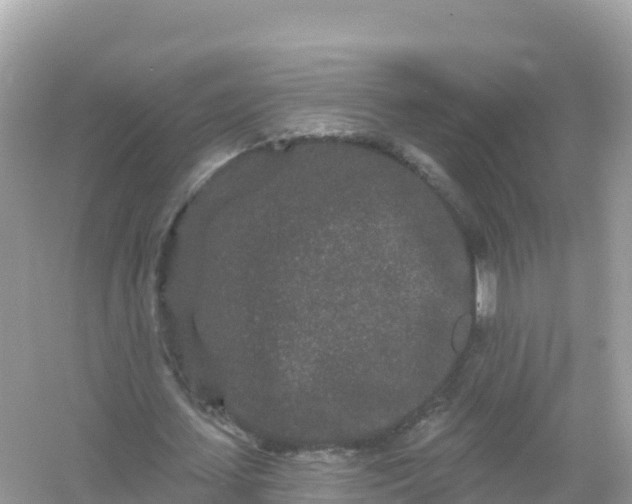 X0000054460627200508051951