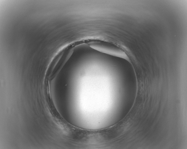 X0000054460628200508051951