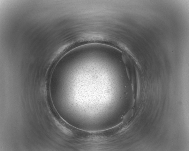 X0000054460629200508051951