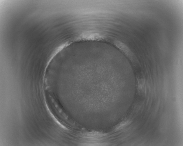 X0000054460630200508051952