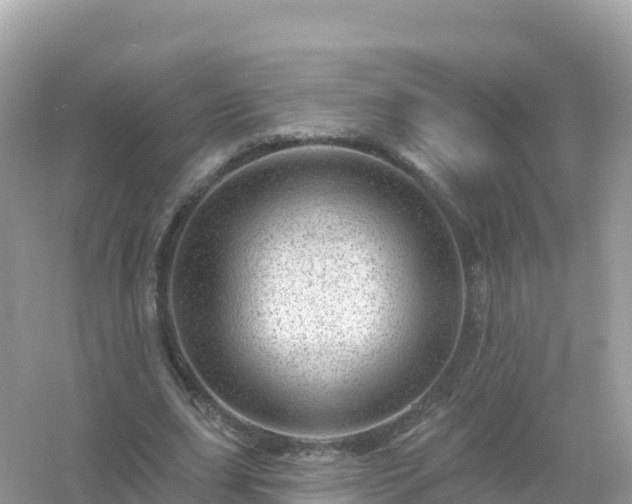 X0000054460631200508051952