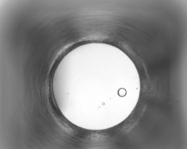 X0000054460632200508051952