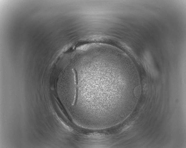 X0000054460633200508051952