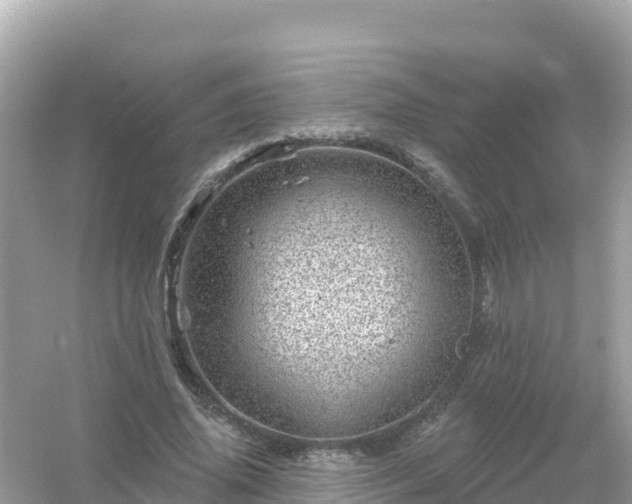 X0000054460636200508051952