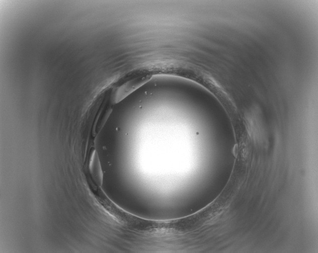 X0000054460637200508051952