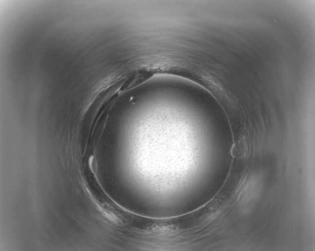 X0000054460638200508051952