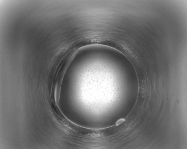 X0000054460639200508051952