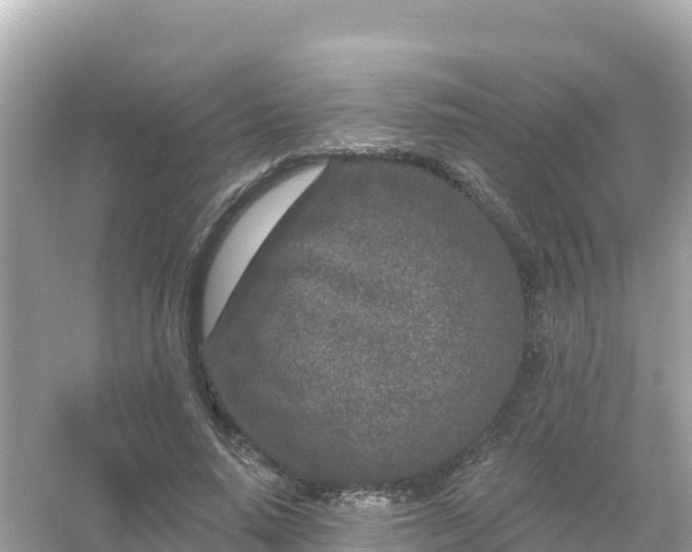 X0000054460640200508051952