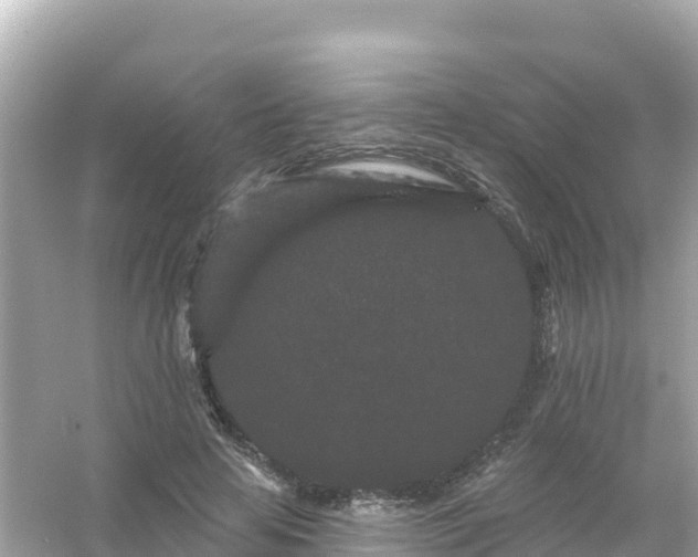 X0000054460641200508051952