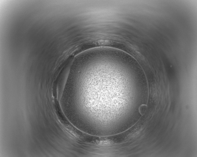 X0000054460645200508051952