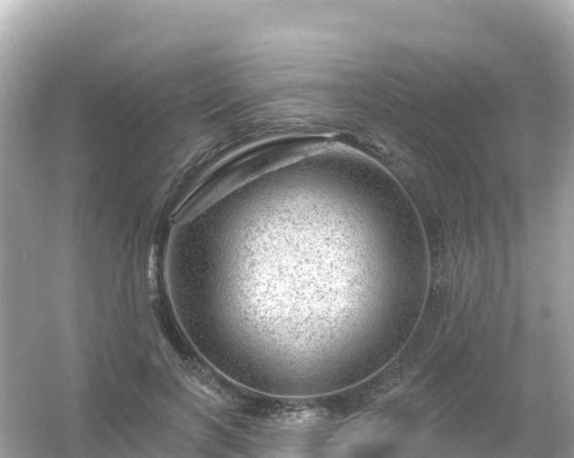 X0000054460646200508051952