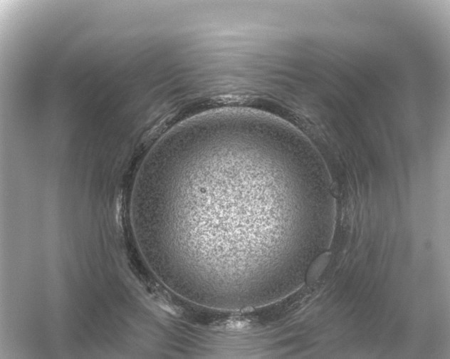 X0000054460647200508051952