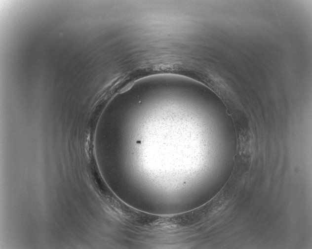 X0000054460648200508051952