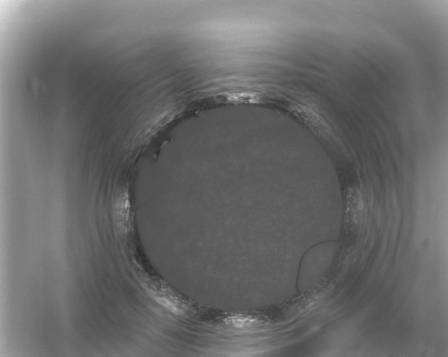 X0000054460650200508051952