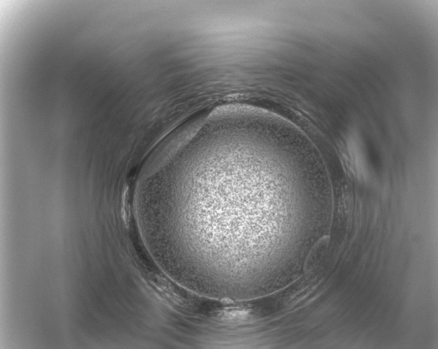 X0000054460651200508051952