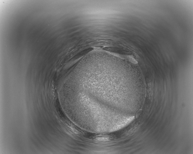 X0000054460653200508051952