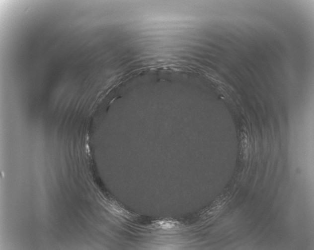 X0000054460654200508051952