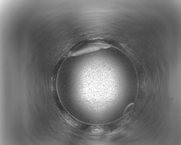 X0000054460658200508051952