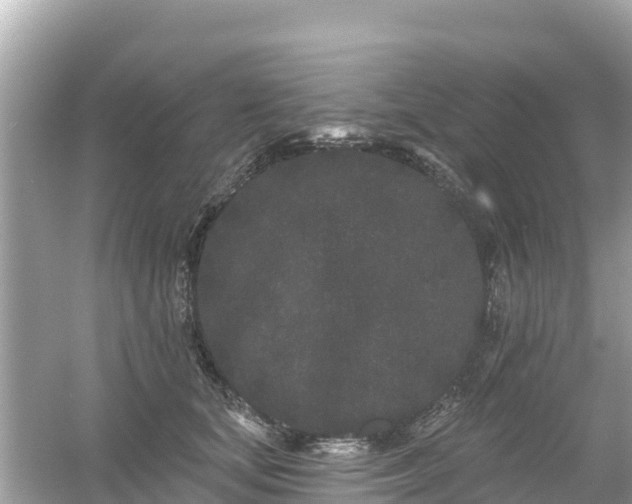 X0000054460659200508051952