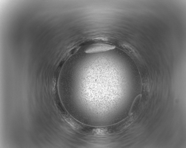 X0000054460660200508051952