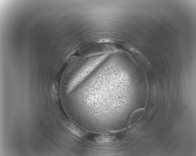 X0000054460661200508051952