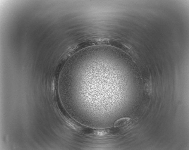 X0000054460662200508051952