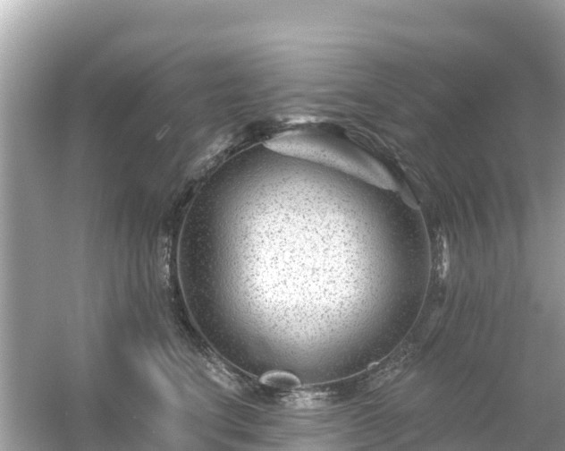 X0000054460664200508051952