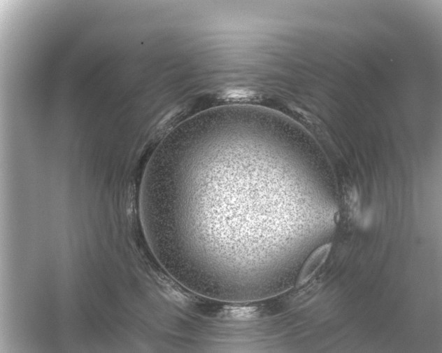 X0000054460665200508051952