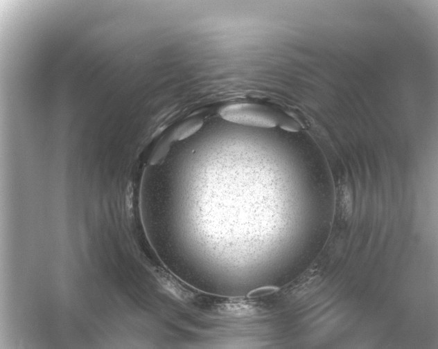 X0000054460668200508051952