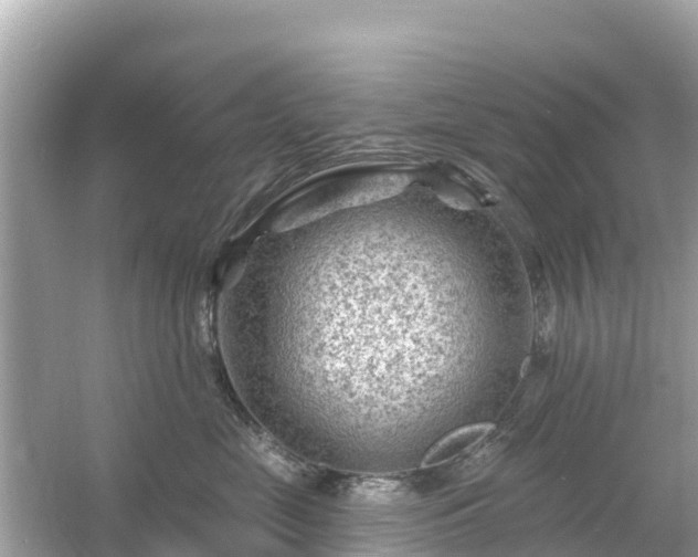 X0000054460669200508051952