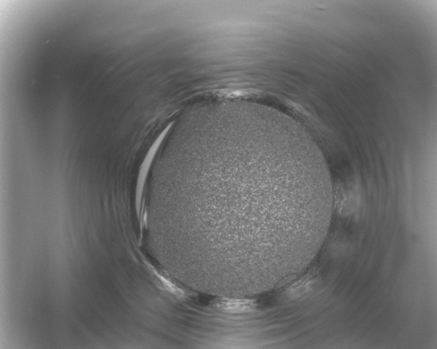 X0000054460670200508051952