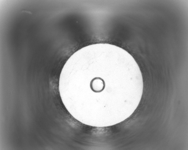 X0000054460672200508051952