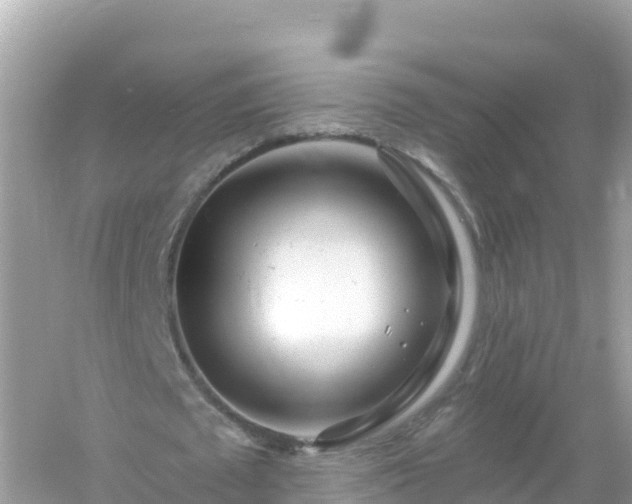 X0000054460673200508051951