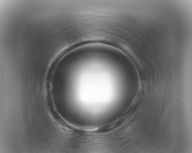 X0000054460676200508051951