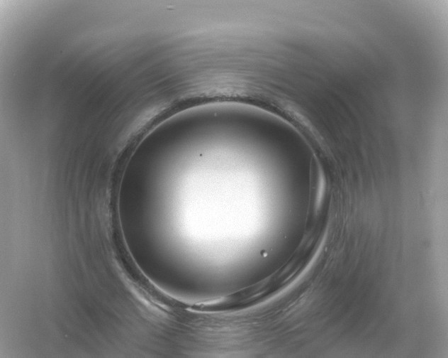 X0000054460677200508051951