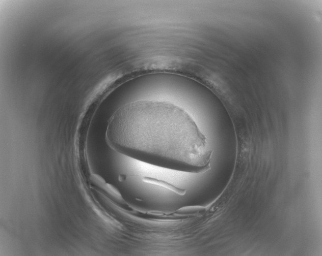 X0000054460678200508051951