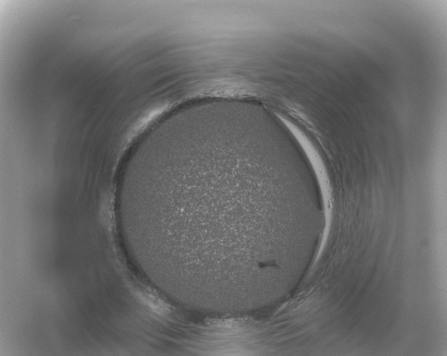 X0000054460679200508051951