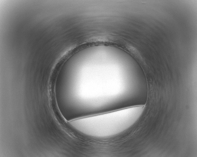 X0000054460680200508051951