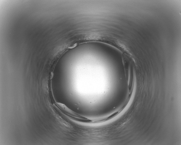 X0000054460681200508051951