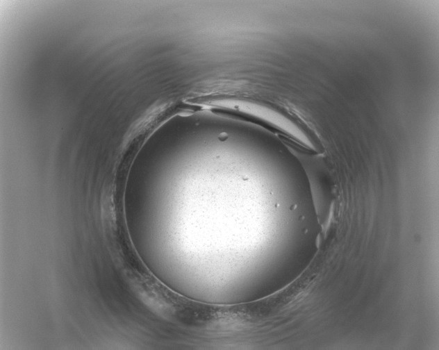 X0000054460682200508051951