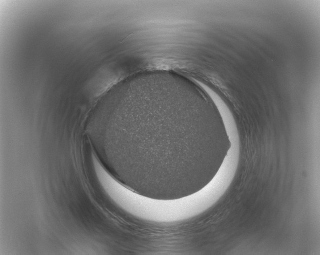 X0000054460683200508051951