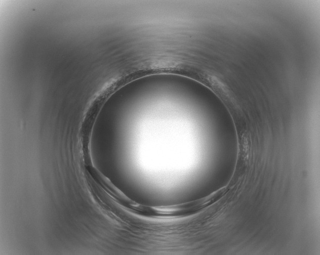 X0000054460684200508051951