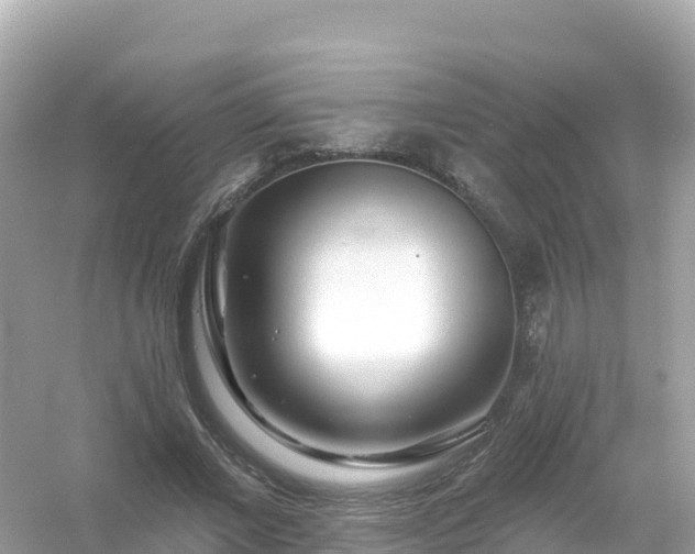 X0000054460685200508051951